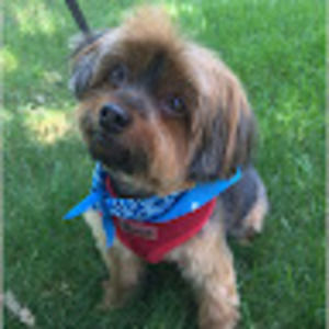 Meet your Posher, Gina